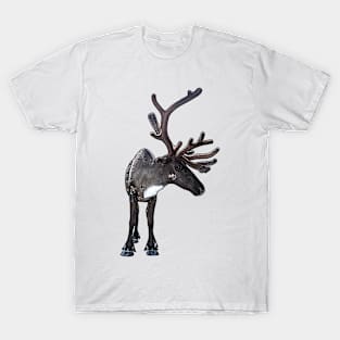 Santa Claus Reindeer T-Shirt